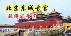 搜狗搜索中国北京-东城古宫旅游风景区